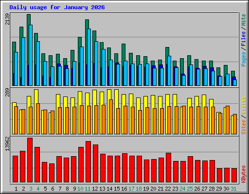 Daily usage for January 2026