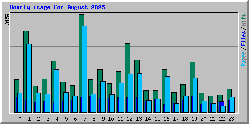 Hourly usage for August 2025