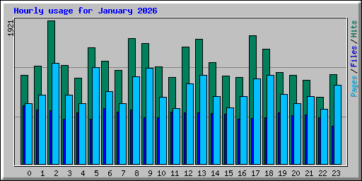 Hourly usage for January 2026